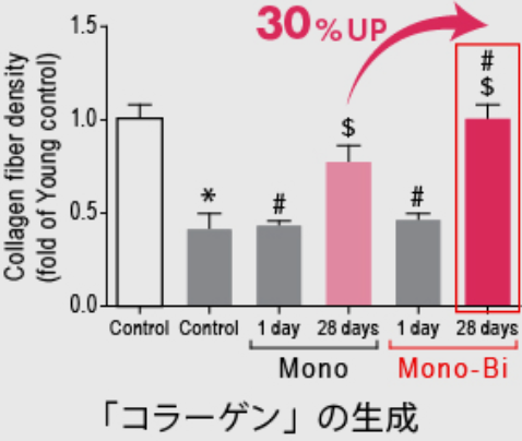 「コラーゲン」の生成