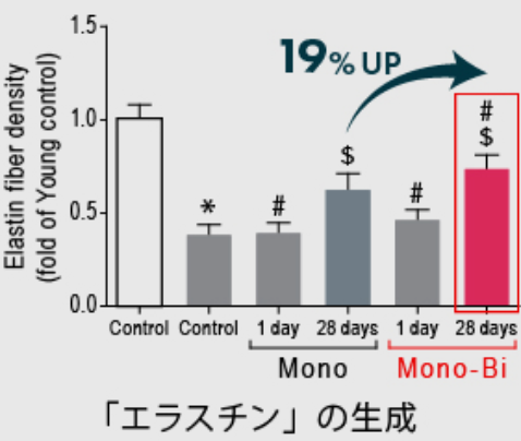 「エラスチン」の生成