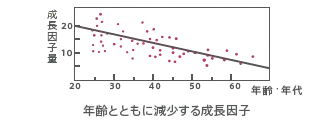 グラフ：年齢とともに減少する成長因子