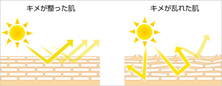 キメが整った肌／キメが乱れた肌