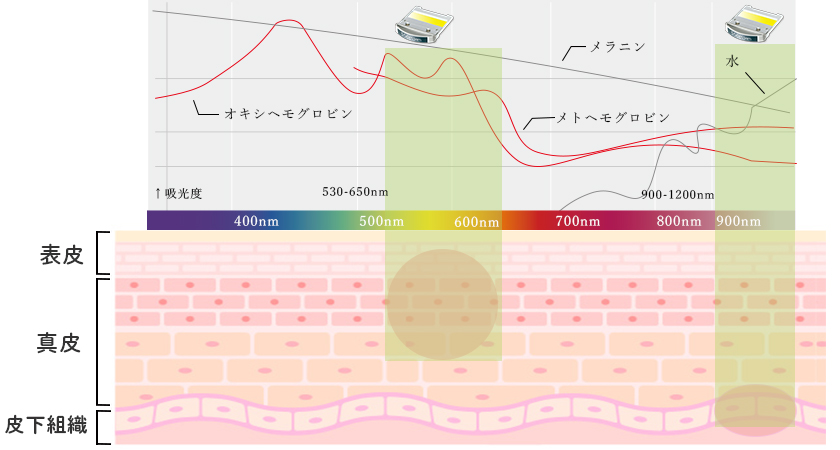 血管病変（赤み）にも作用